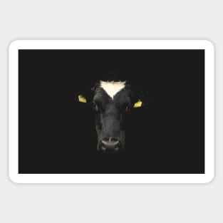 Cow Face Sticker